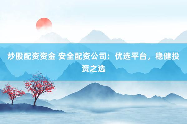炒股配资资金 安全配资公司：优选平台，稳健投资之选