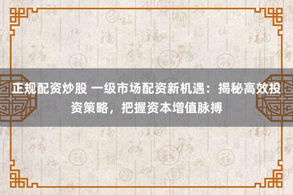 正规配资炒股 一级市场配资新机遇：揭秘高效投资策略，把握资本增值脉搏