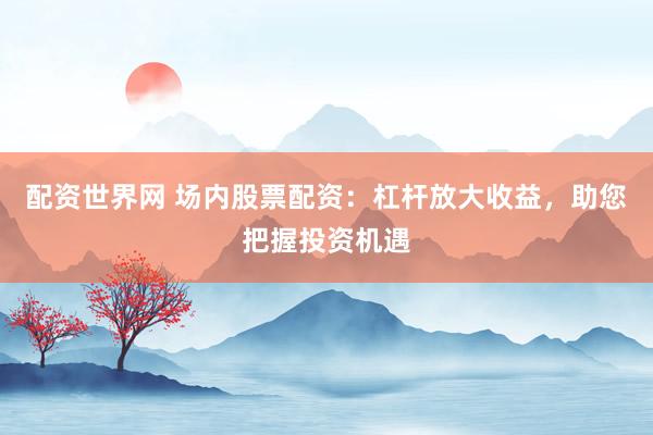 配资世界网 场内股票配资：杠杆放大收益，助您把握投资机遇