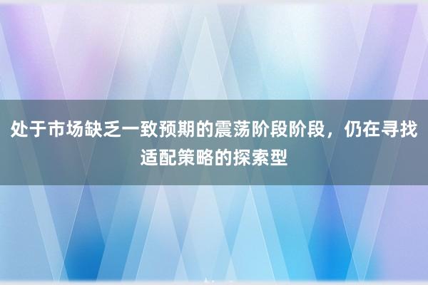 处于市场缺乏一致预期的震荡阶段阶段，仍在寻找适配策略的探索型