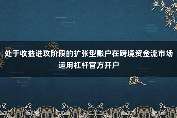 处于收益进攻阶段的扩张型账户在跨境资金流市场运用杠杆官方开户