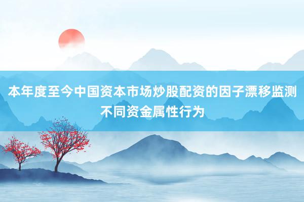 本年度至今中国资本市场炒股配资的因子漂移监测不同资金属性行为
