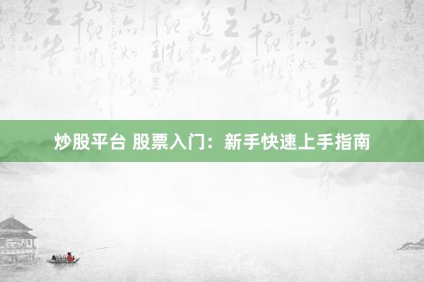 炒股平台 股票入门：新手快速上手指南